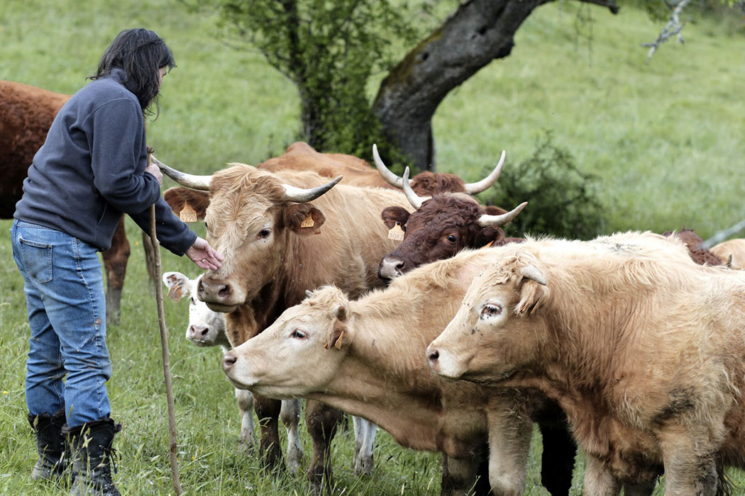 le tropueau de la ferme