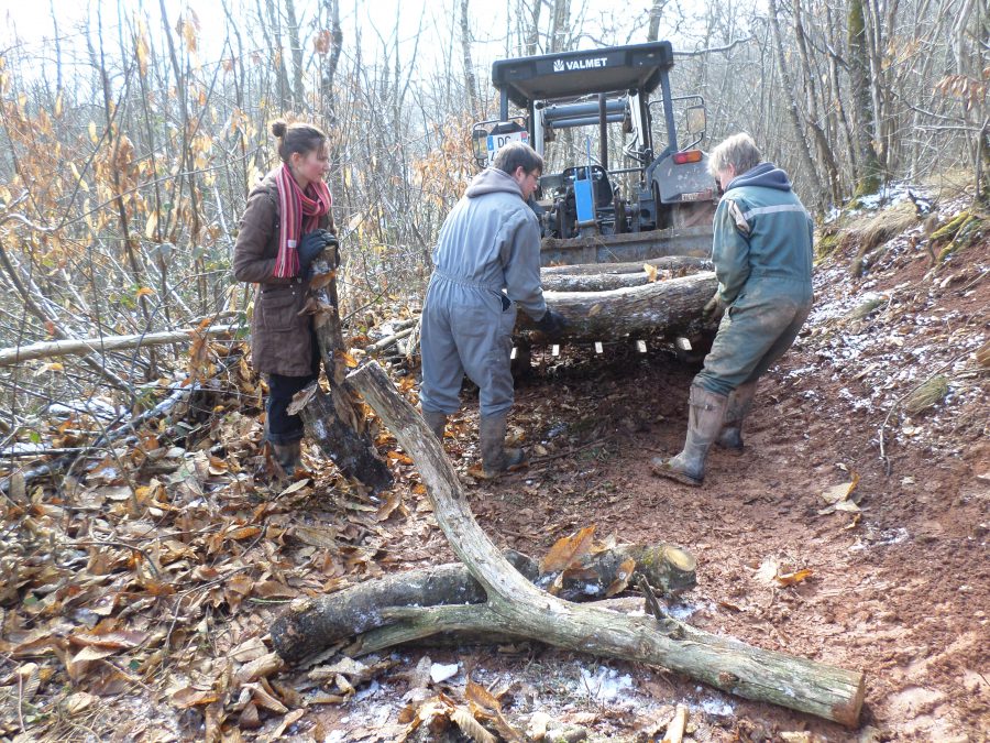 nettoyage des bois 