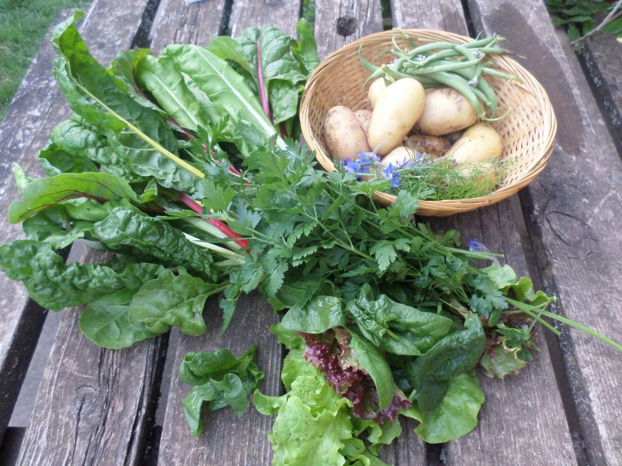 des produits du potager 