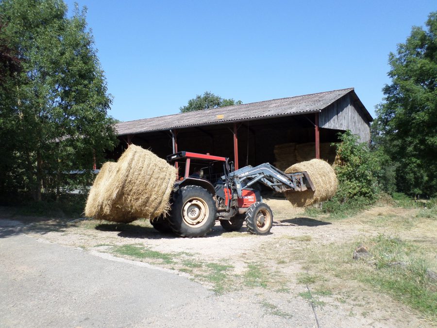 rangement du foin 